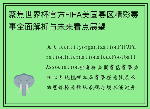 聚焦世界杯官方FIFA美国赛区精彩赛事全面解析与未来看点展望